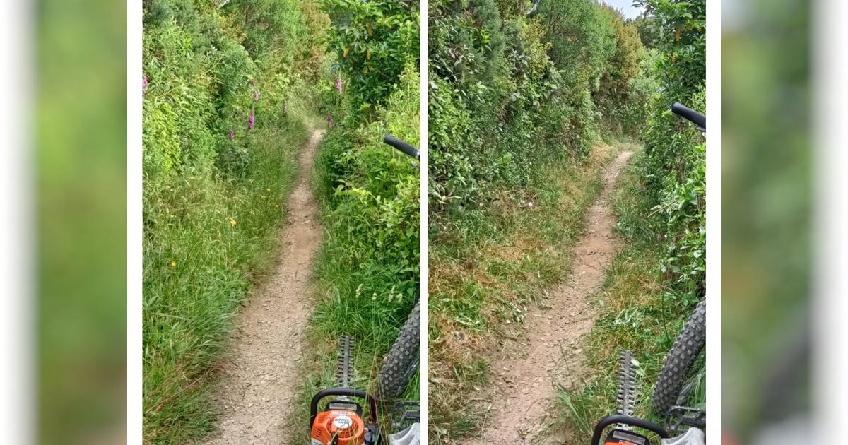 Trim Team Tools Givealittle