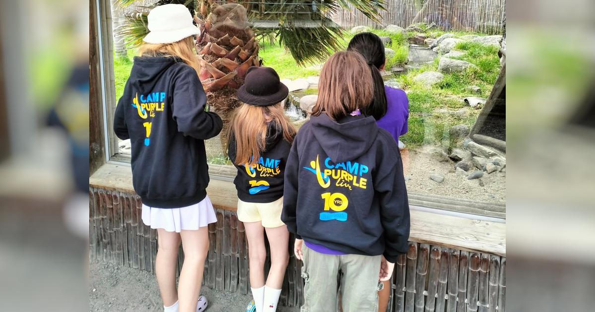Help make Camp Purple Live 2026 a reality for kiwi kids with IBD ...