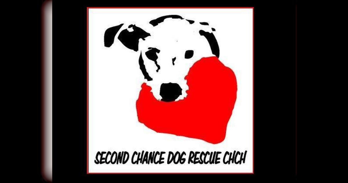 Second chance best sale dog rescue