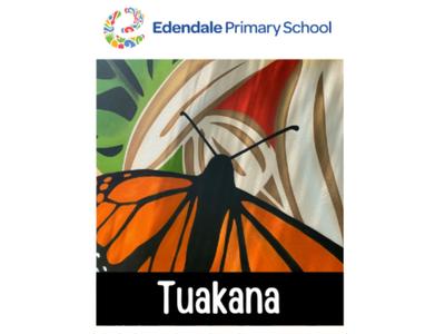 Edendale Colour Run 2025 - Tuakana Years 5&6 (Rooms 26, 27, 28 and 29)