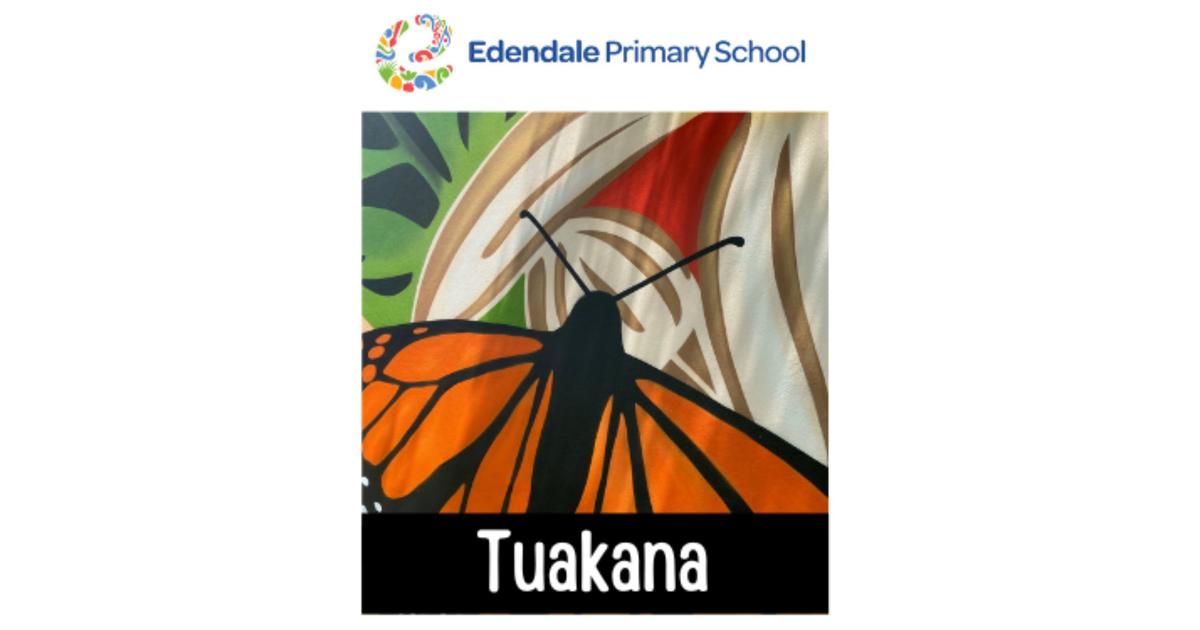 Edendale Colour Run 2025 - Tuakana Years 5&6 (Rooms 26, 27, 28 and 29 ...