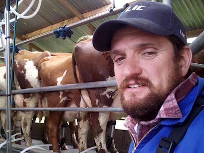 Shave Free for Calving