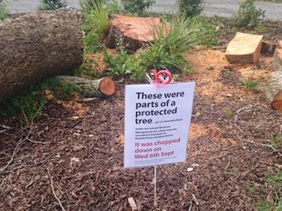 Agile Cloud Mobile App to record trees