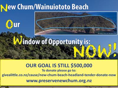 New Chum Beach Northern Headland - $500,000 GOAL - PLEASE ACT NOW!