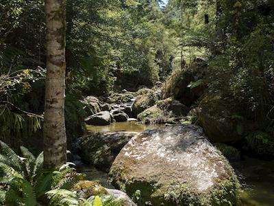 Mapping Sensitive Environments