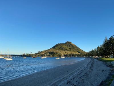 Marie's Goals for Good Project!