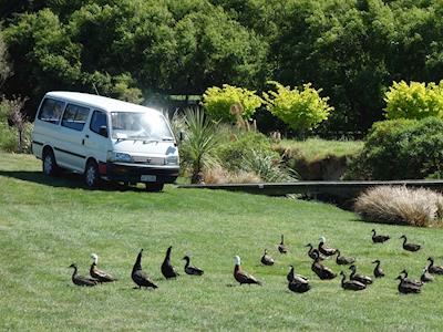 Fundraiser for stolen charity van and items taken with it