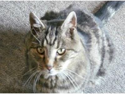 Help Tiffany with her surgery costs