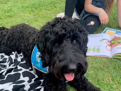 Help us support MentorED this Christmas 🎄