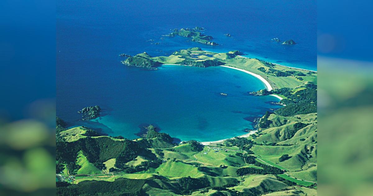 Save Mimiwhangata Marine Park - Givealittle