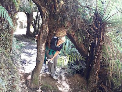 Orphan's Aid International - Walk to Support