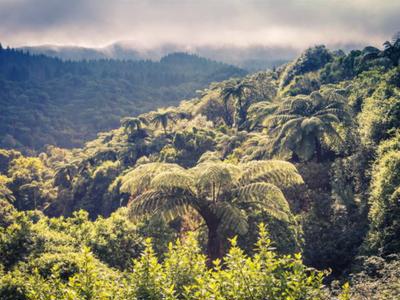 Search And Rescue Fundraiser