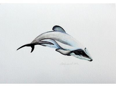 My Majestic Marathon for Marvellous Marine Mammals