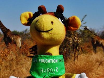 MEGA DUNK FOR HAROLD 2019