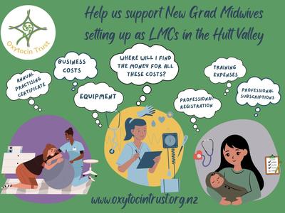 Support New Self-Employed Midwives in Te Awa Kairangi/the Hutt Valley 2025-2026