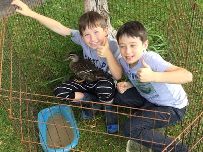 Help Keep Our Nanas Dream Alive While Shes Lives With Cancer