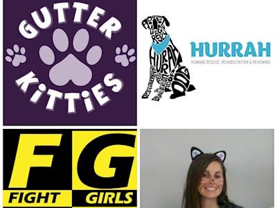 Fighting for cats and dogs