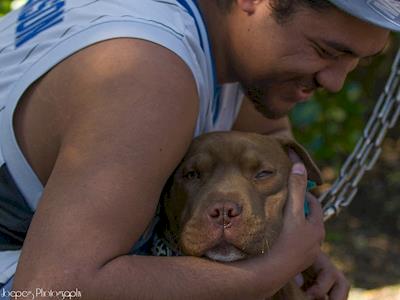 Desexy Revolution Christmas Appeal