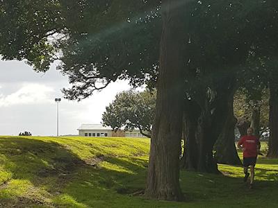 Parkinson's Tinman Club