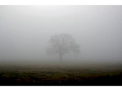 The Haze support the Student Volunteer Army