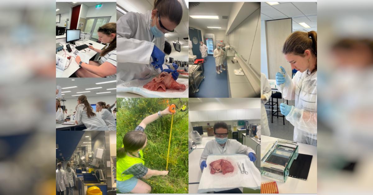 Help Get Gabby To London Givealittle