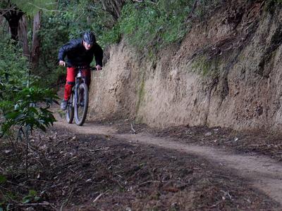 Want New Trail? We Need Your Help!