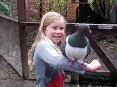 Share the love of Nature and donate entry to Ngā Manu this summer