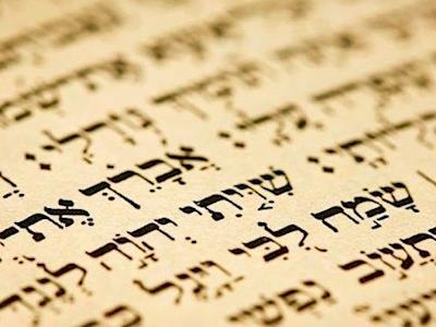 Wellington Torah Scroll