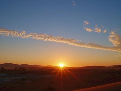Support the Mental Health of New Zealanders