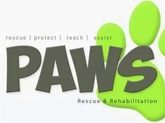 PAWS Rescue/Rehab (2002)