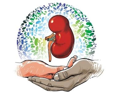 Help me raise money for Maddie to help her get a kidney!