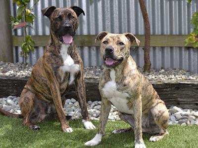 Clipping for a Snipping