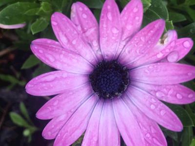 Helping people that help others 