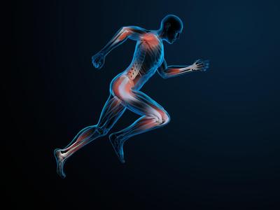 Arthrex A-Team run Round the Bays