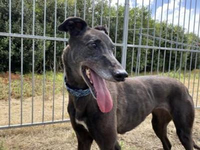 Fundraising for Spirit - We all deserve a place to belong.