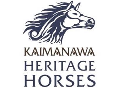 Kaimanawa Heritage Horses