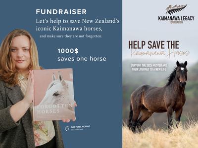 Let's save a Kaimanawa horse — The Pixel Nomad