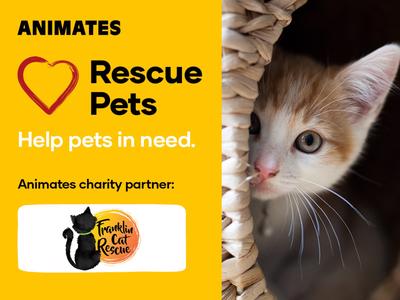 Animates Fundraiser - Proudly supporting Franklin Cat Rescue