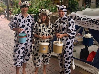 Black Sheep Animal Sanctuary Street Appeal
