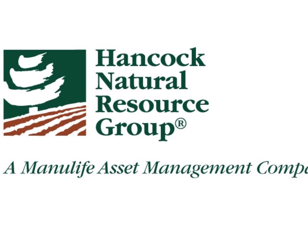 Hancock Forest Management (NZ) Ltd Christchurch Victims Support Givealittle