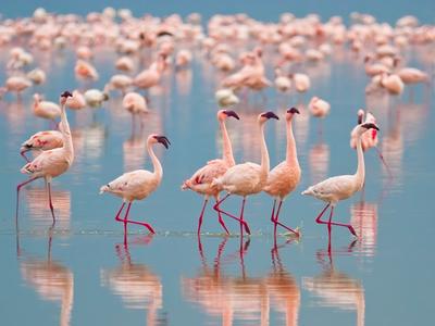 The Fantastic Friday Food Rescuers