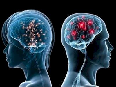 Brains Round the Bays