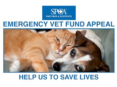SPCA Hastings & Districts Emergency Vet Fund