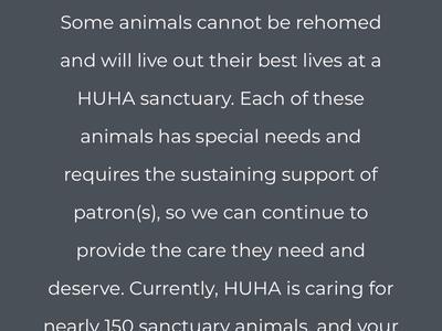 Animals and advocacy