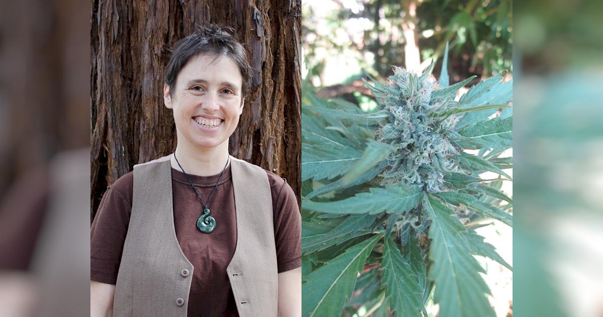 Medicinal cannabis - defending our rights - Givealittle