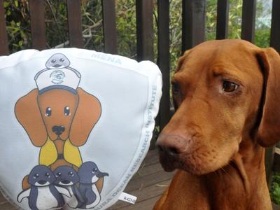 Remembering Mena, the Penguin Detection Dog
