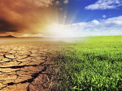 Cut the crap to save the earth