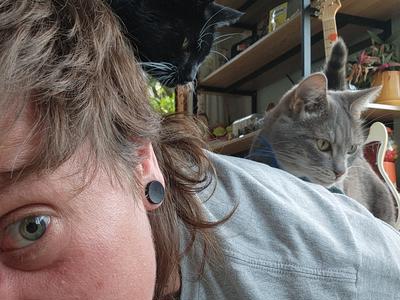 Derby Stole my Human