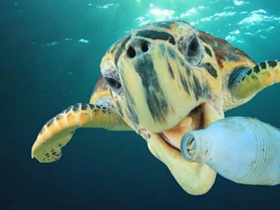 One world, one chance