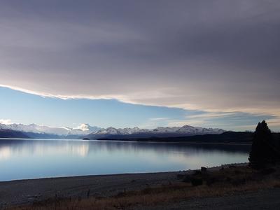 Diana Lau - EY Move for Change